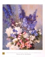 Hills Larspur, Peones, and Canterbury Bells Постер Издательство: Egim Boston; арт MFA30 инфо 8316h.