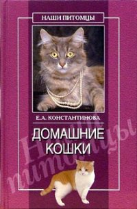 Домашние кошки 2005 г ISBN 5-9533-0841-8 инфо 8612h.